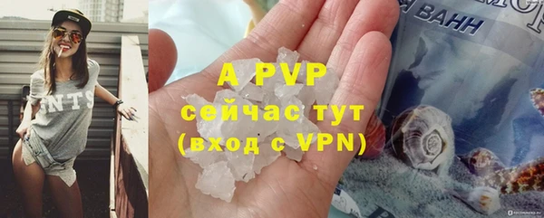 прущие грибы Няндома