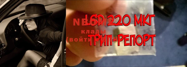 apvp Алексеевка