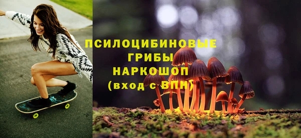 бутират Алзамай
